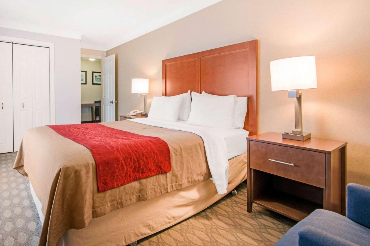 Mini-hôtel Comfort Fallsview Niagara Falls